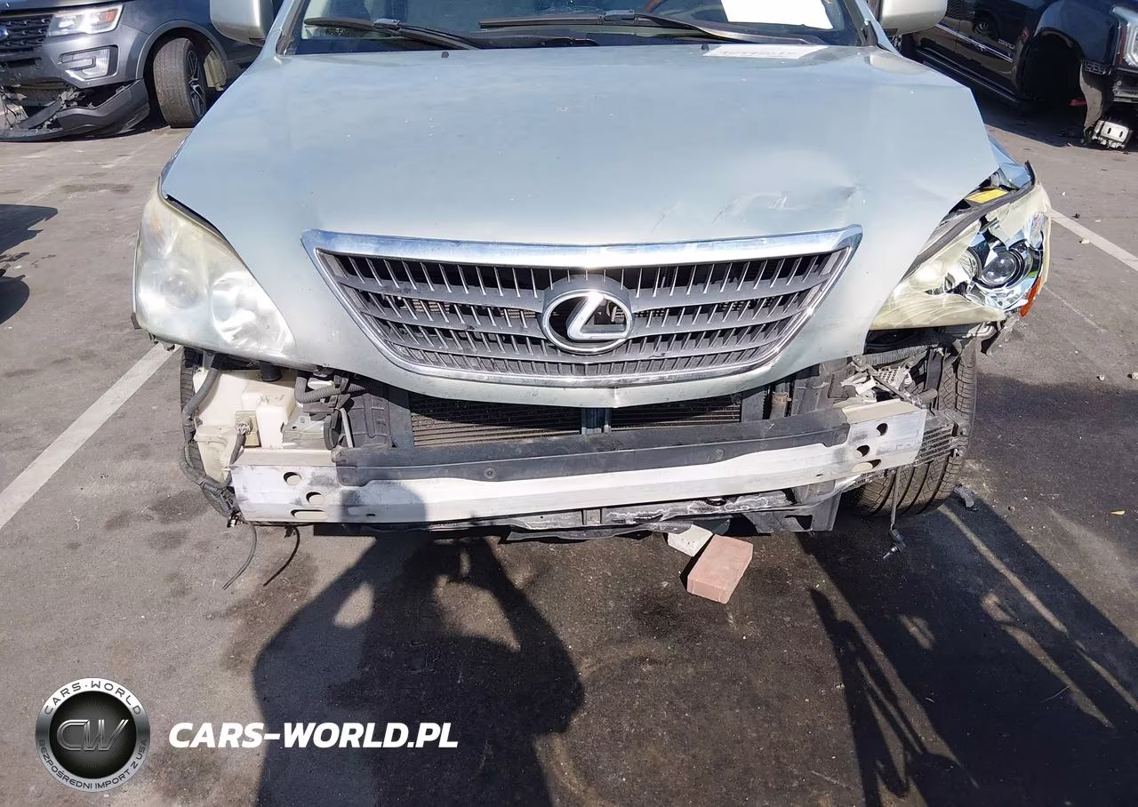 2007 Lexus Rx 400H VIN:JTJGW31U172005624 - 6