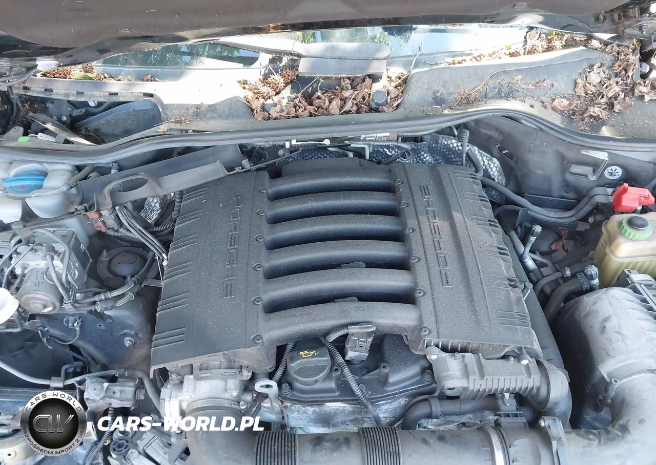 2017 Porsche Cayenne Platinum Edition VIN:WP1AA2A27HKA83017 - 10