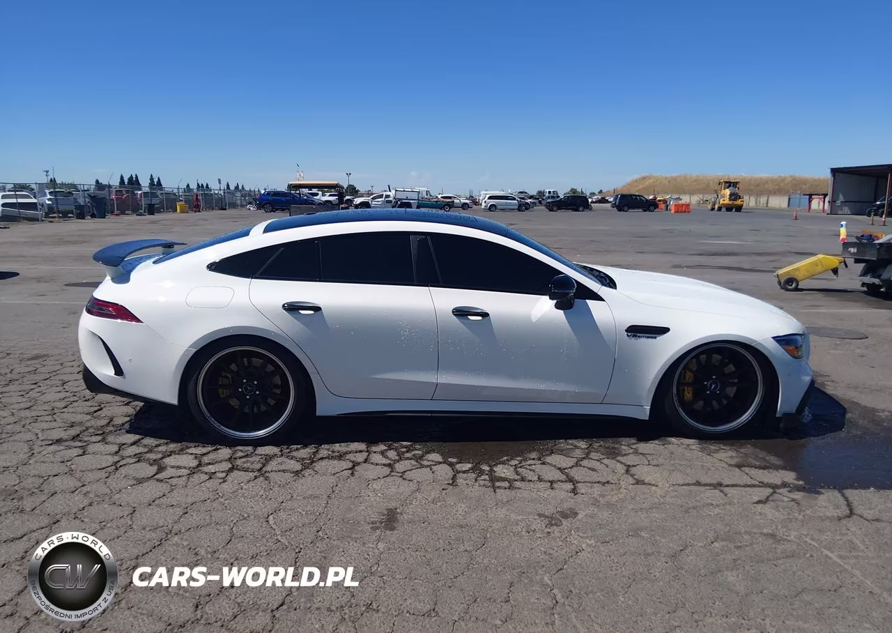 2019 Mercedes-Benz Amg Gt 63 4-Door Coupe VIN:WDD7X8JB2KA006670 - 15