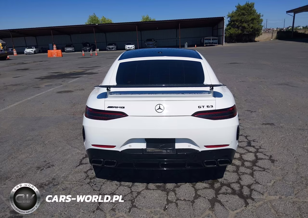 2019 Mercedes-Benz Amg Gt 63 4-Door Coupe VIN:WDD7X8JB2KA006670 - 18