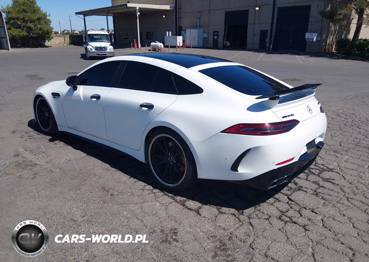 2019 Mercedes-Benz Amg Gt 63 4-Door Coupe VIN:WDD7X8JB2KA006670 - 3