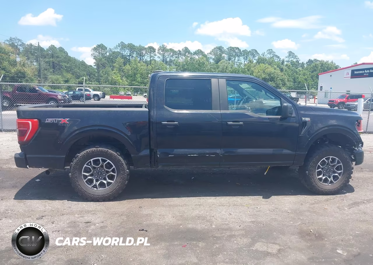 2021 Ford F-150 King Ranch-Lariat-Platinum-Xl-Xlt VIN:1FTFW1E58MKF13039 - 13