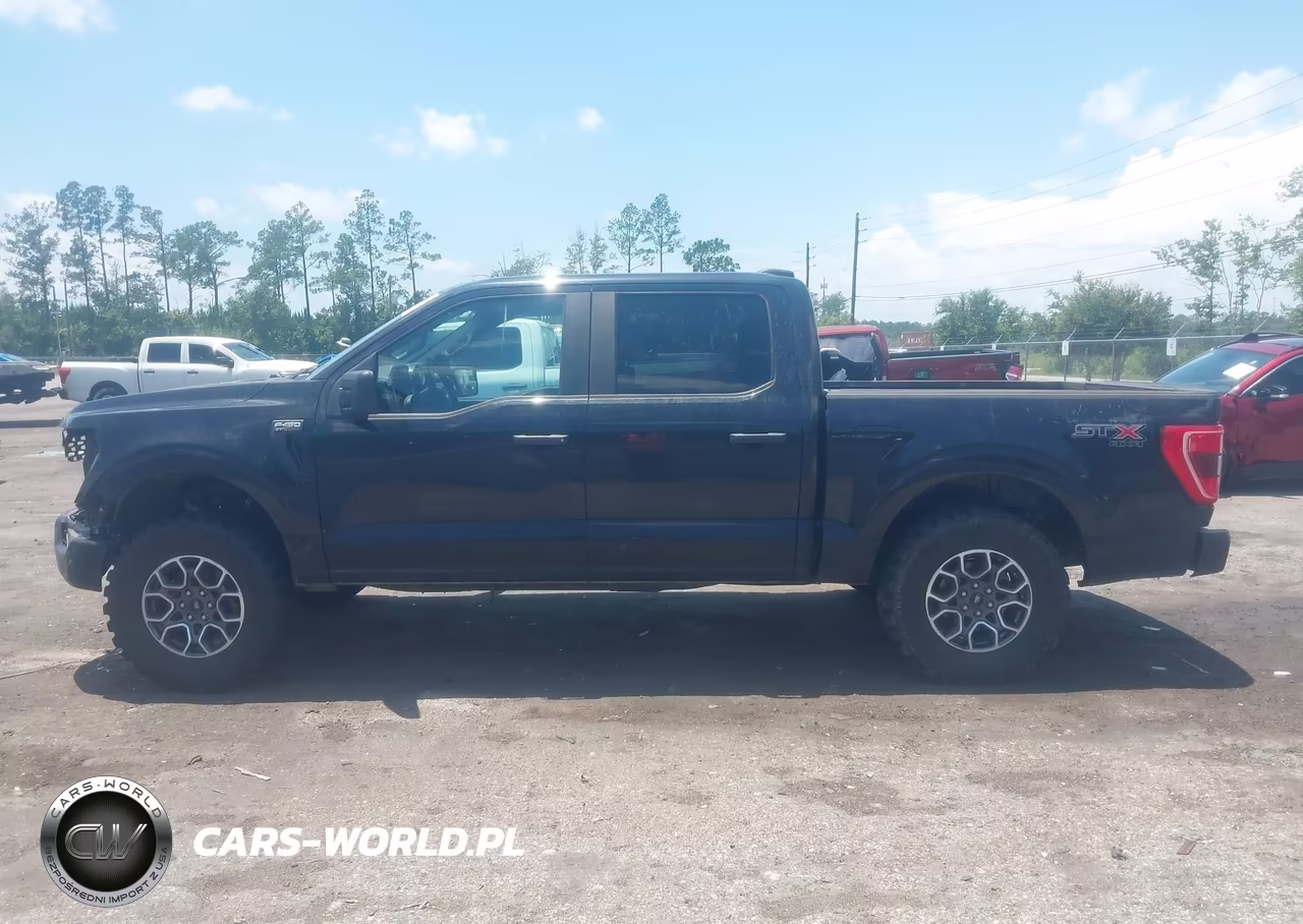 2021 Ford F-150 King Ranch-Lariat-Platinum-Xl-Xlt VIN:1FTFW1E58MKF13039 - 14