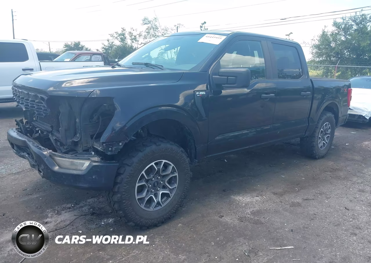 2021 Ford F-150 King Ranch-Lariat-Platinum-Xl-Xlt VIN:1FTFW1E58MKF13039 - 2