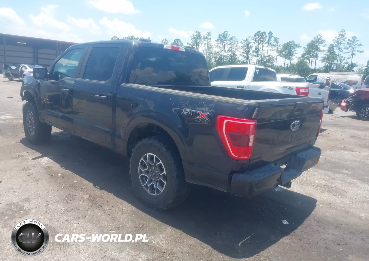 2021 Ford F-150 King Ranch-Lariat-Platinum-Xl-Xlt VIN:1FTFW1E58MKF13039 - 3