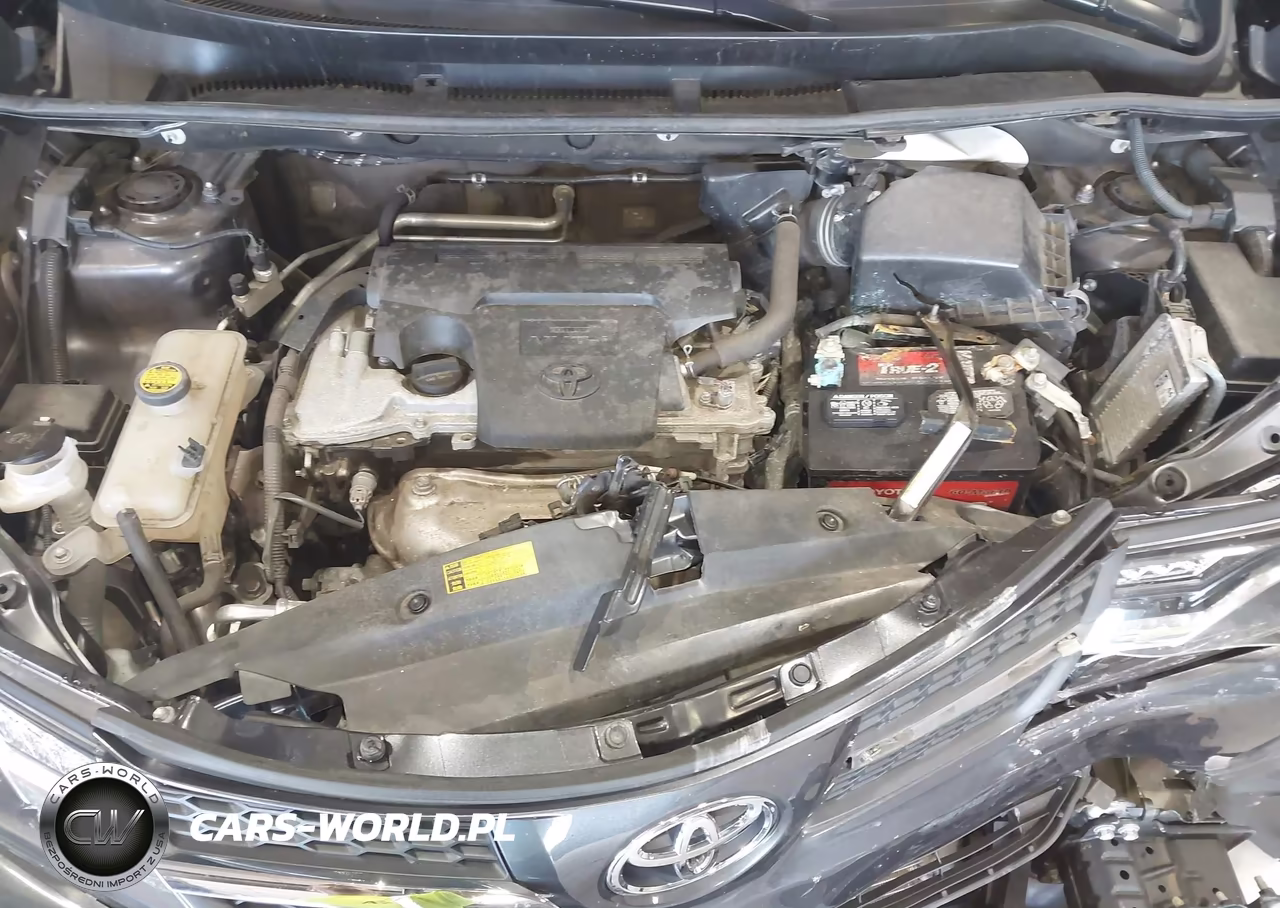 2015 Toyota Rav4 Xle VIN:2T3WFREV9FW226981 - 10