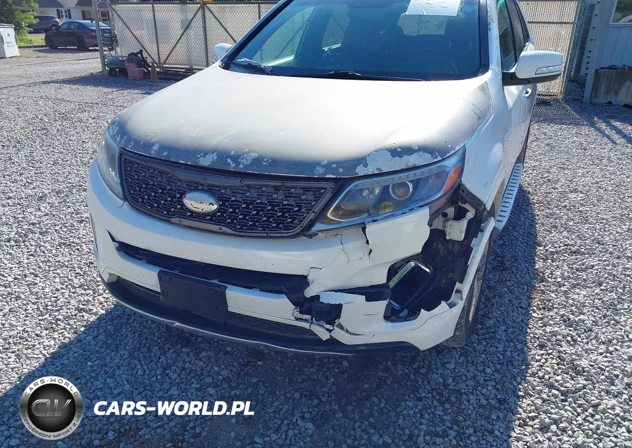 2014 Kia Sorento Limited V6 VIN:5XYKWDA77EG463393 - 6