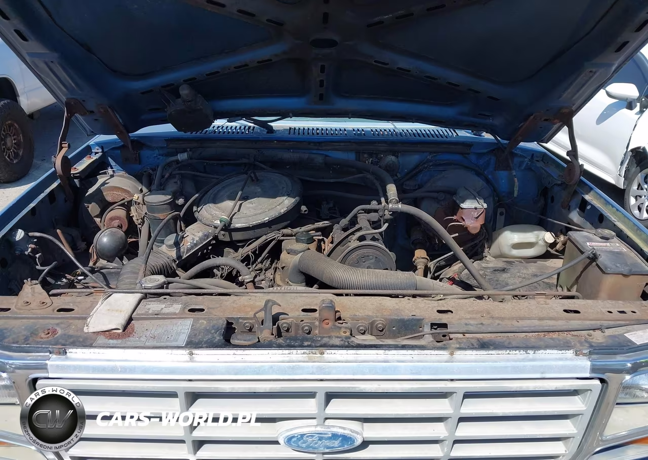 1985 Ford F150 VIN:1FTEX15Y1FKA61280 - 10
