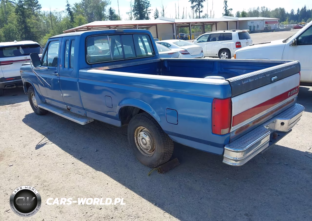 1985 Ford F150 VIN:1FTEX15Y1FKA61280 - 3