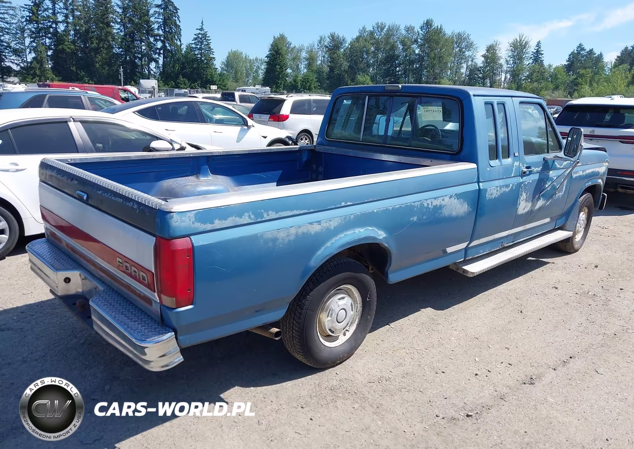 1985 Ford F150 VIN:1FTEX15Y1FKA61280 - 4