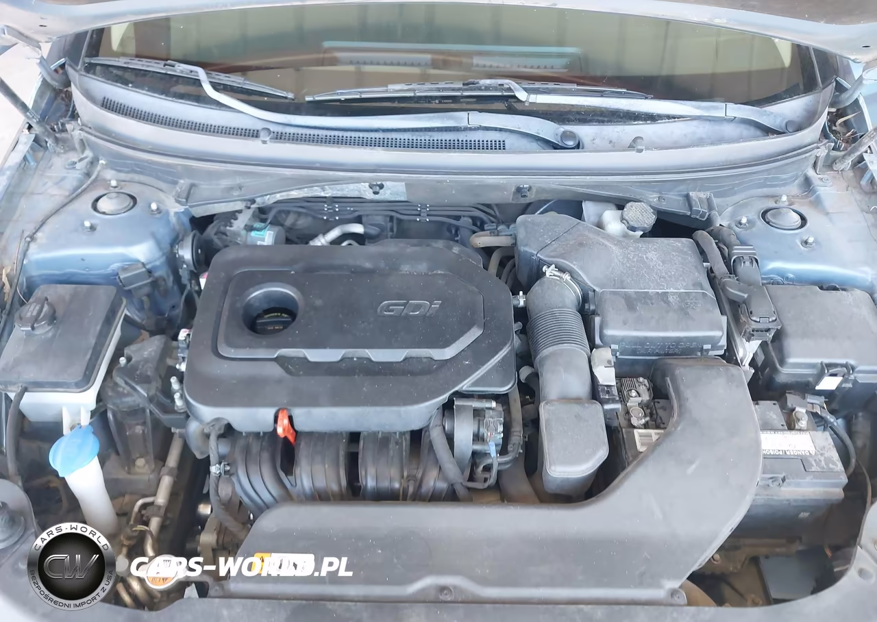 2016 Hyundai Sonata VIN:5NPE24AFXGH409520 - 10