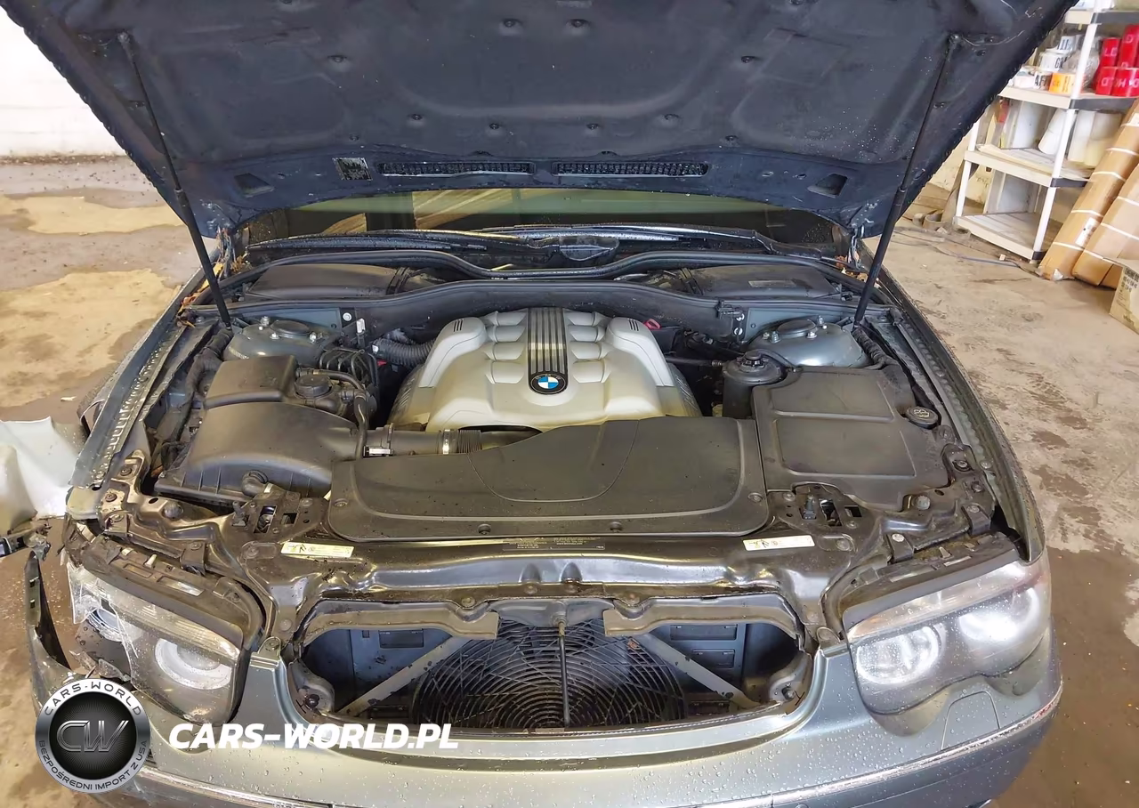 2003 BMW 7 Series 745Li VIN:WBAGN63453DR13851 - 10