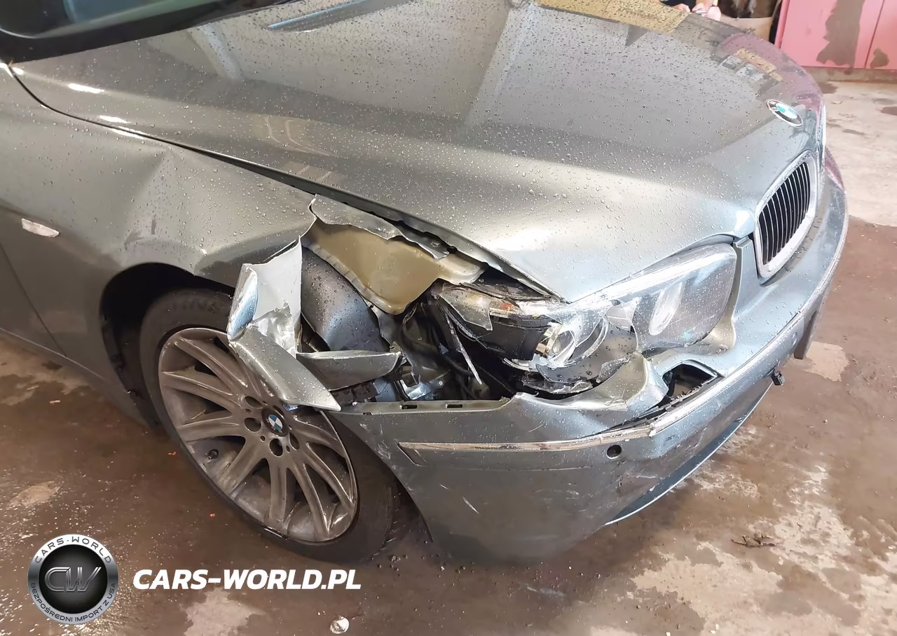 2003 BMW 7 Series 745Li VIN:WBAGN63453DR13851 - 6