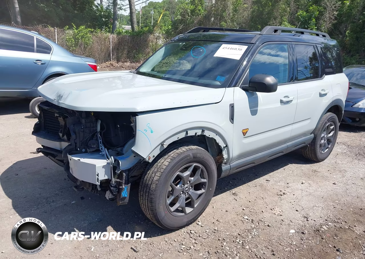 2021 Ford Bronco Sport Badlands VIN:3FMCR9D90MRA25272 - 2