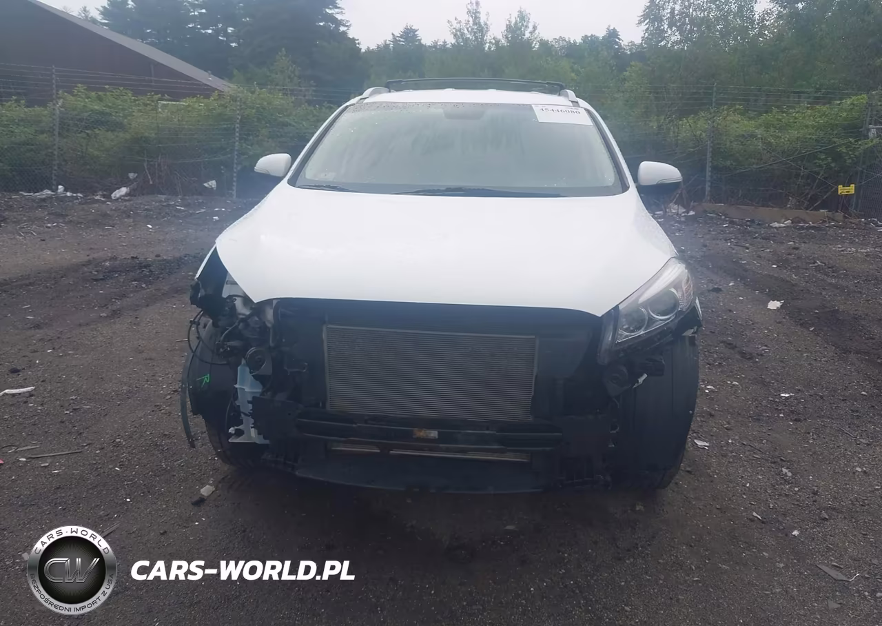 2016 Kia Sorento 2.4L Lx VIN:5XYPGDA39GG070479 - 12