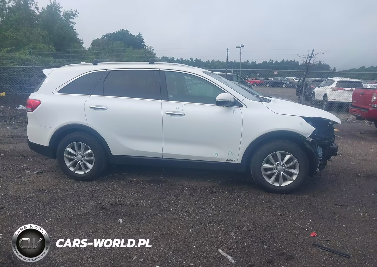 2016 Kia Sorento 2.4L Lx VIN:5XYPGDA39GG070479 - 13
