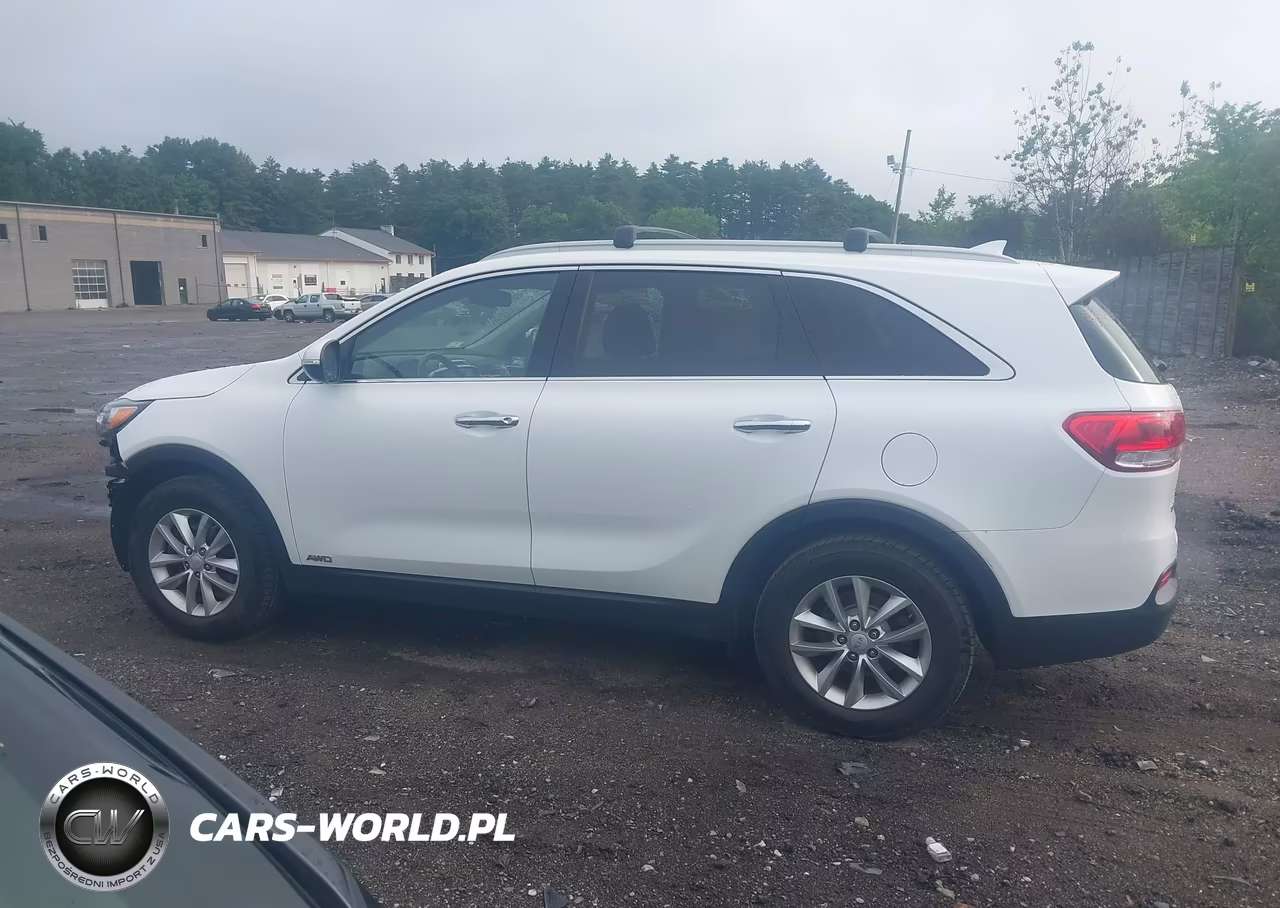 2016 Kia Sorento 2.4L Lx VIN:5XYPGDA39GG070479 - 14