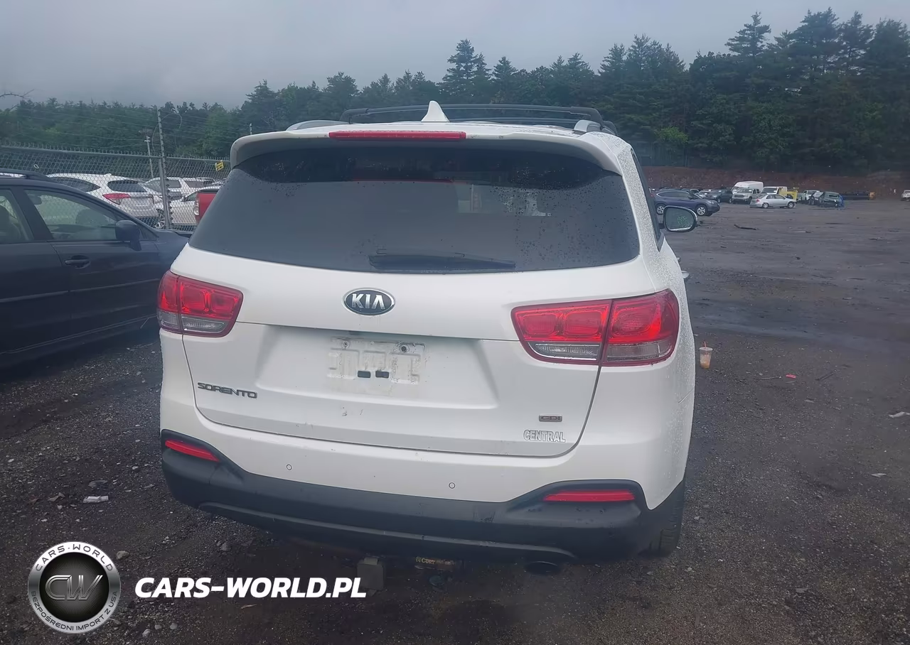 2016 Kia Sorento 2.4L Lx VIN:5XYPGDA39GG070479 - 16
