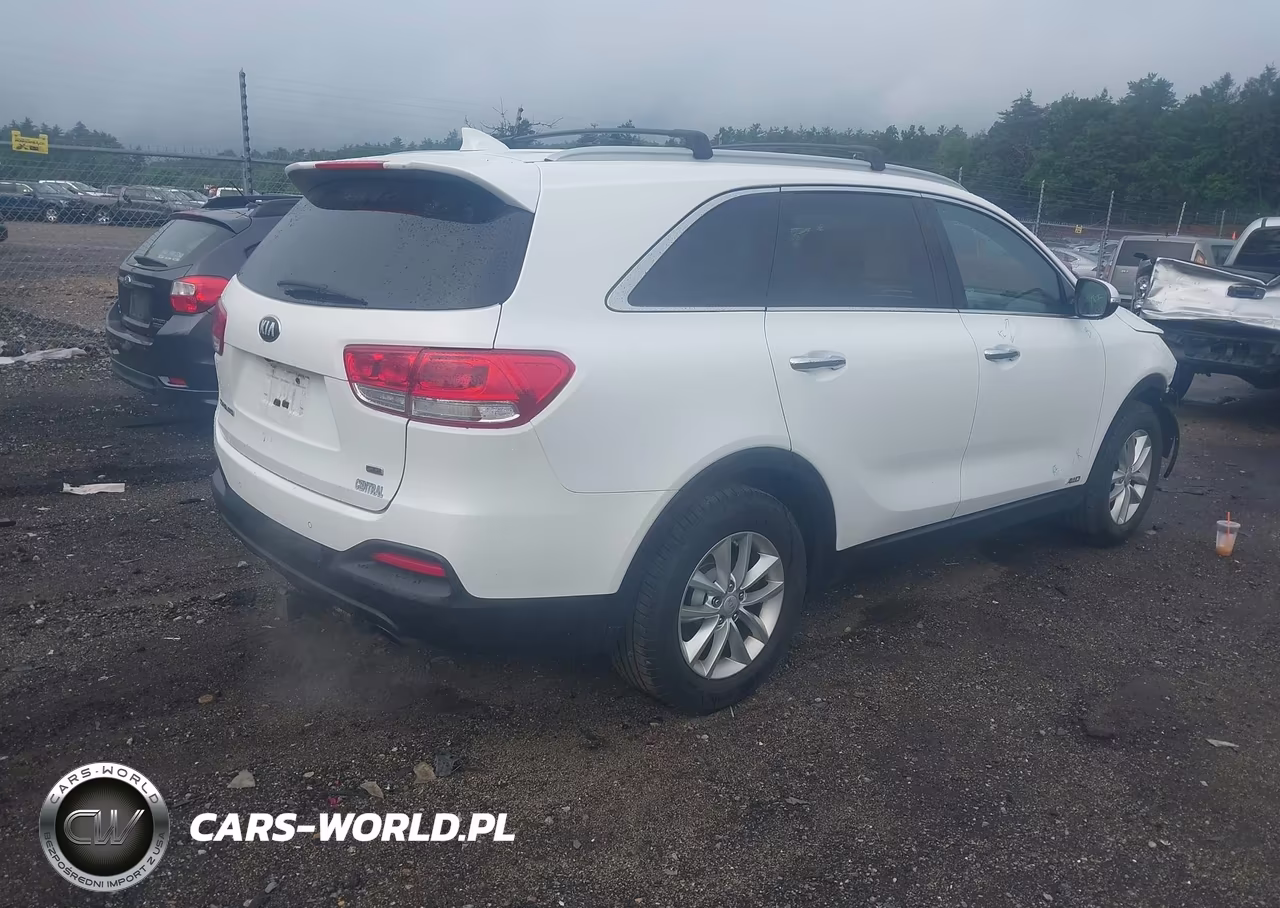 2016 Kia Sorento 2.4L Lx VIN:5XYPGDA39GG070479 - 4