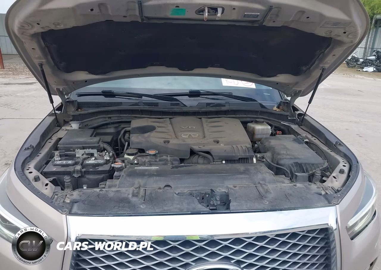 2018 Infiniti Qx80 VIN:JN8AZ2NE3J9190727 - 10