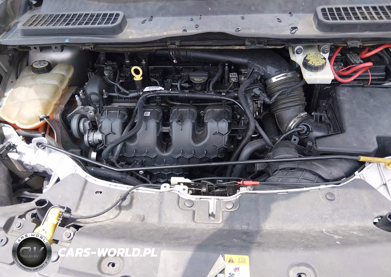 2014 Ford Escape Se VIN:1FMCU9G99EUA06689 - 10