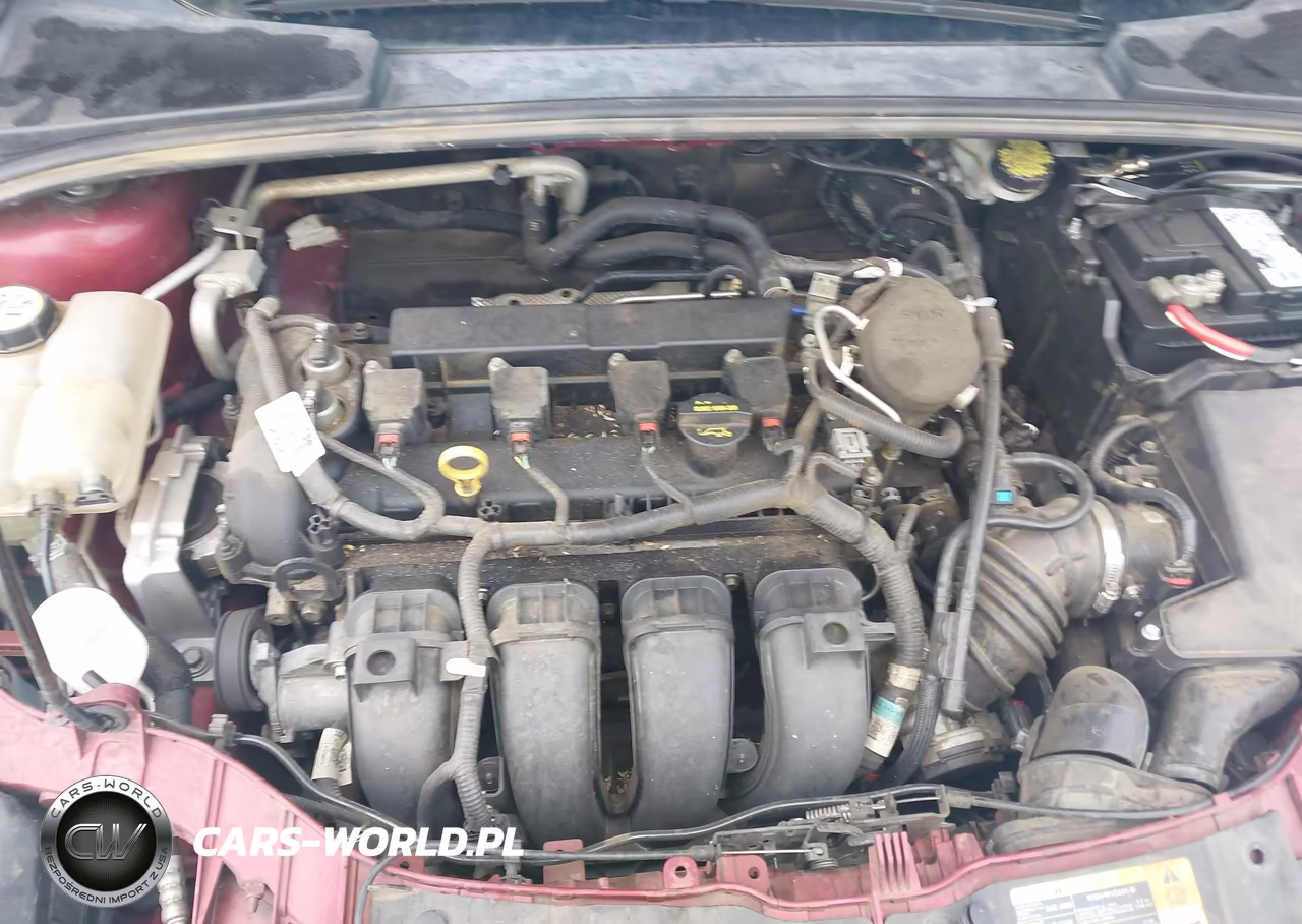 2013 Ford Focus Se VIN:1FADP3K21DL155356 - 10