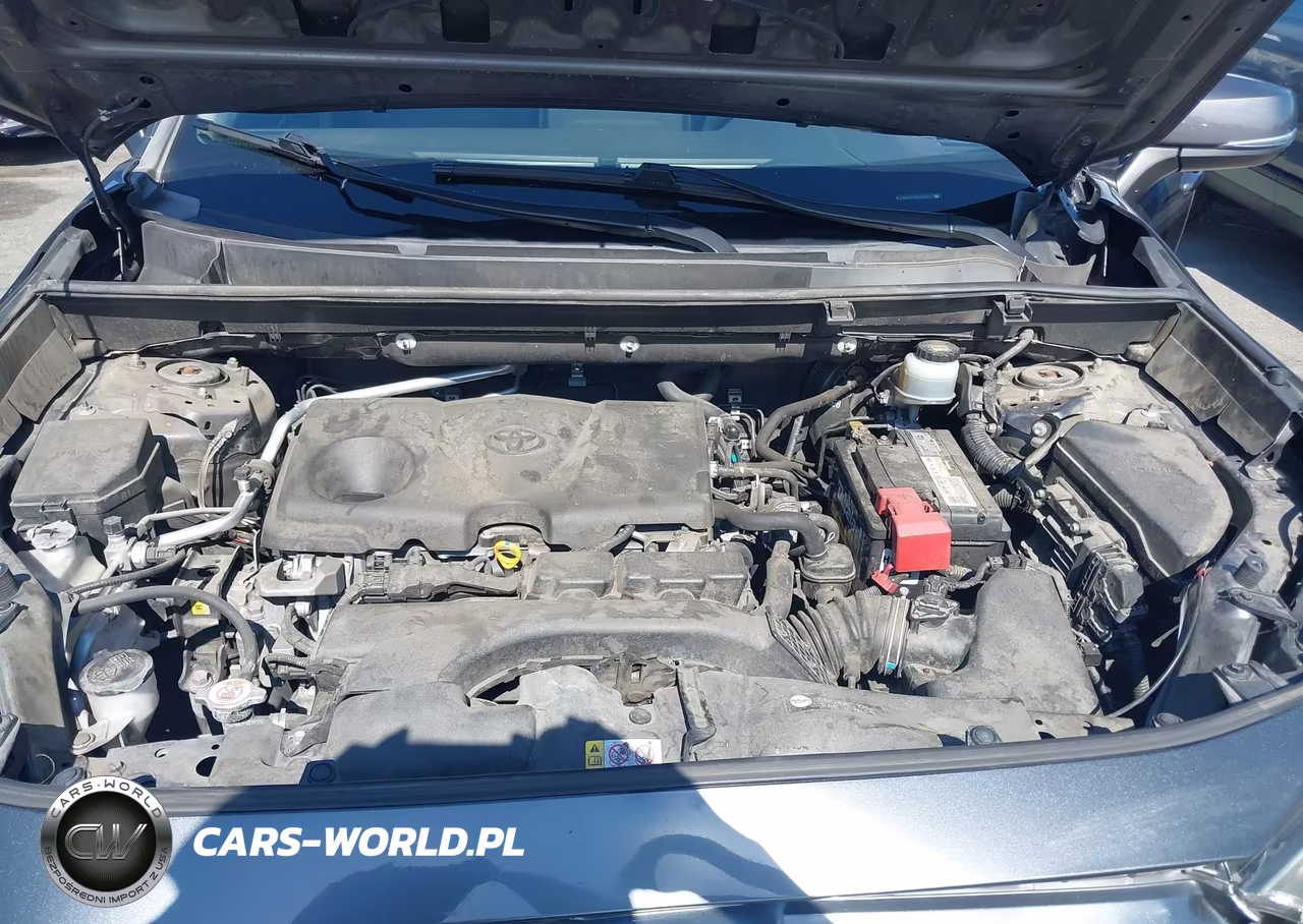 2019 Toyota Rav4 Xle VIN:JTMW1RFV5KD504327 - 10