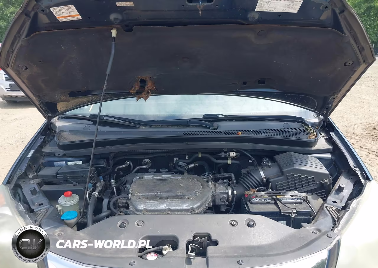 2009 Honda Odyssey Ex-L VIN:5FNRL38709B411723 - 10
