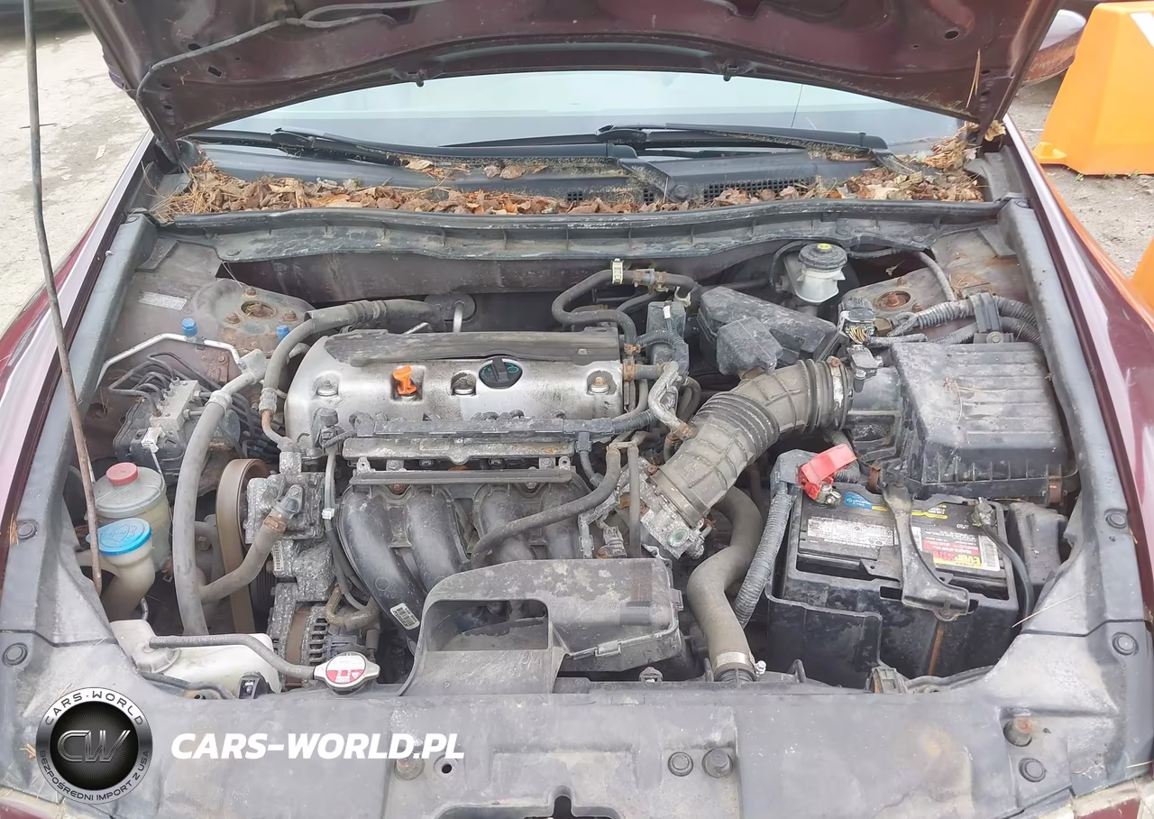 2010 Honda Accord 2.4 Lx VIN:1HGCP2F35AA078941 - 7