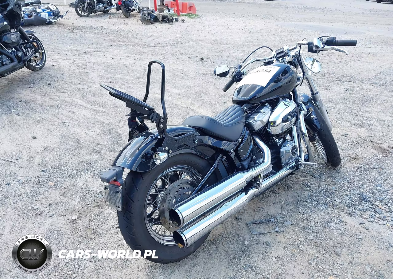 2020 Harley-Davidson Fxst VIN:1HD1BVJ1XLB062547 - 4