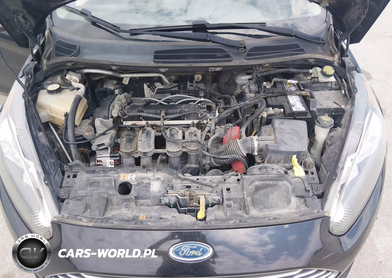 2014 Ford Fiesta Se VIN:3FADP4EJ0EM233814 - 10