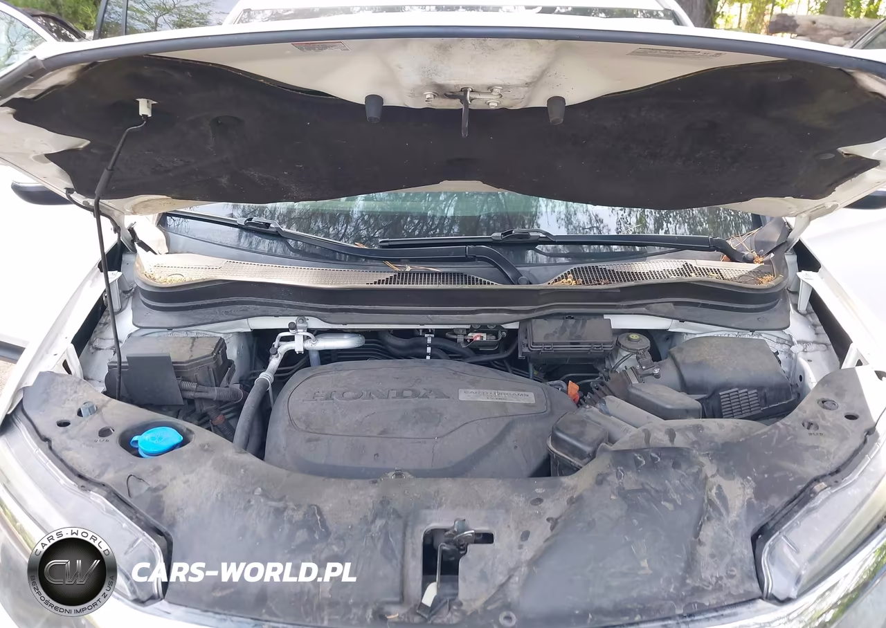 2019 Honda Pilot Ex VIN:5FNYF6H3XKB079622 - 10