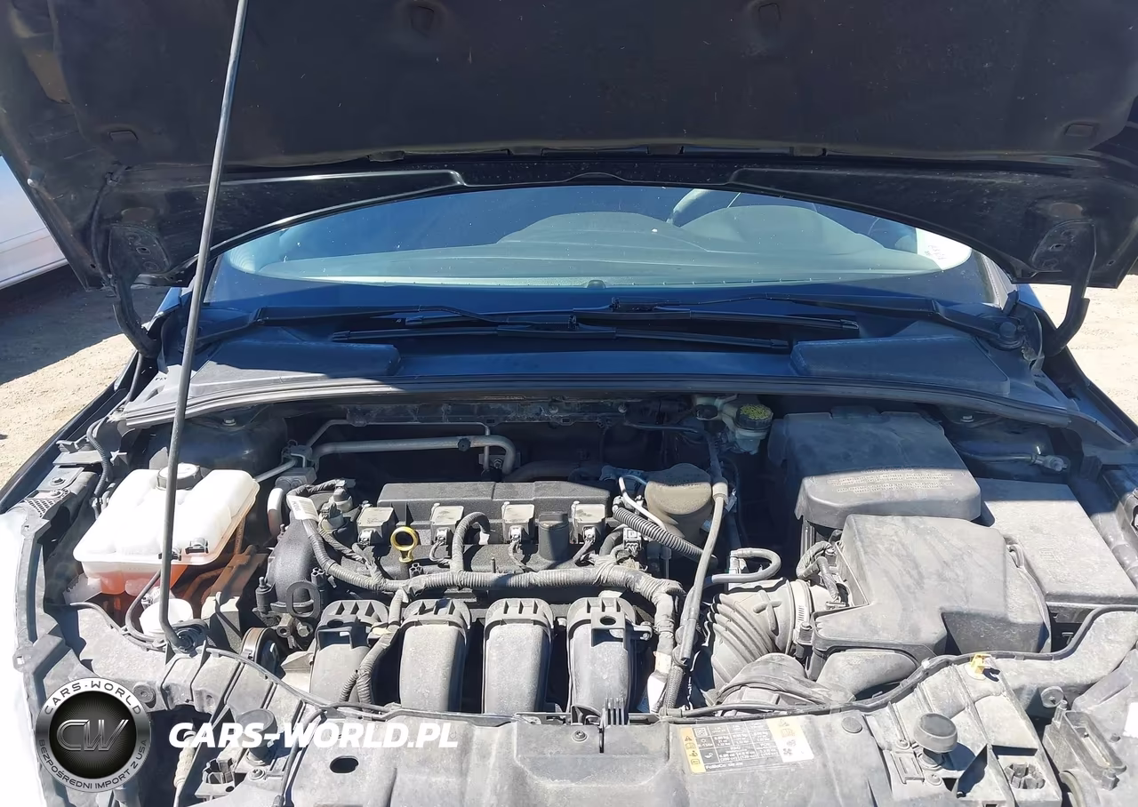 2016 Ford Focus Se VIN:1FADP3K2XGL263320 - 10