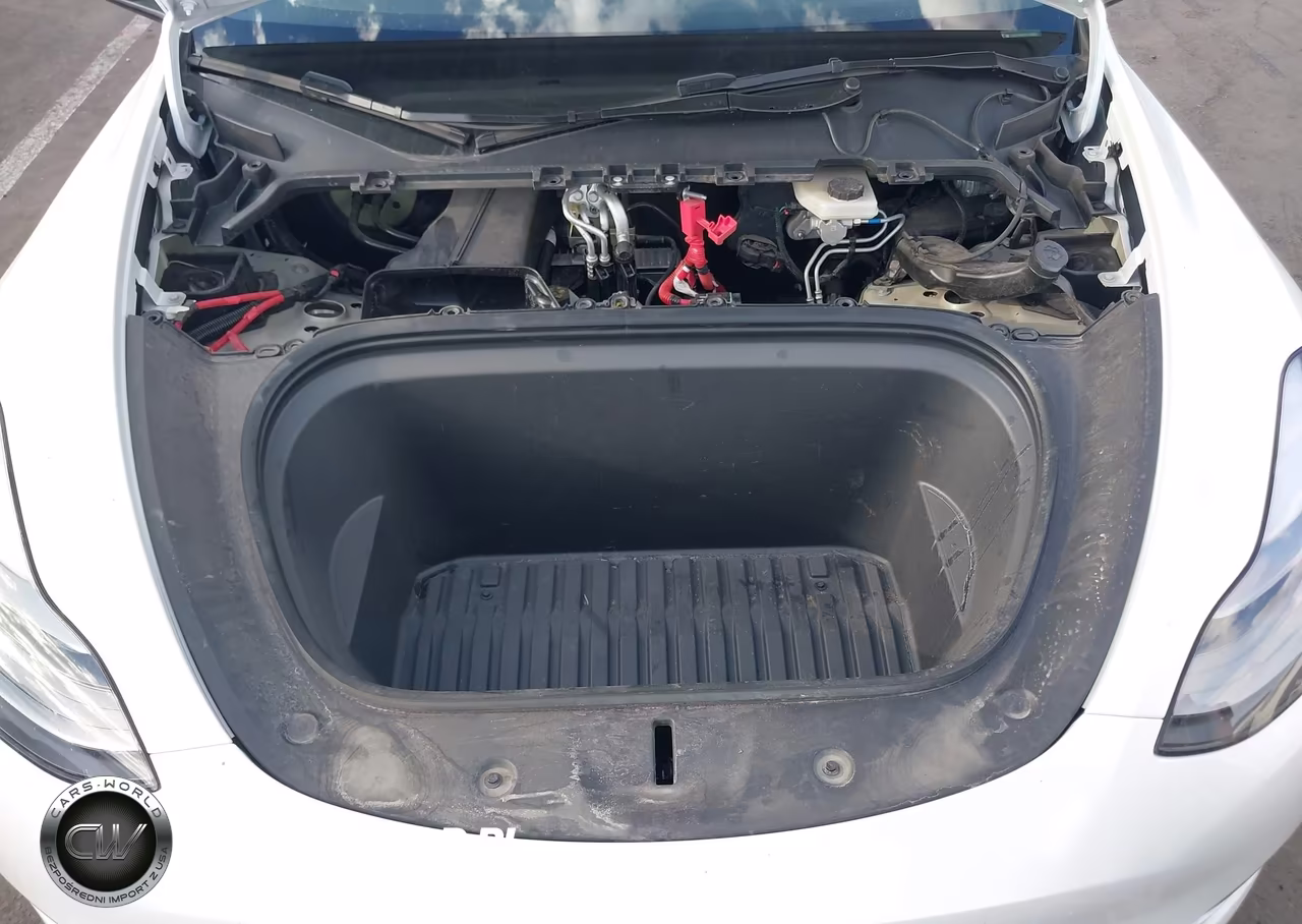 2024 Tesla Model Y Long Range Dual Motor All-Wheel Drive VIN:7SAYGAEE1RF030828 - 10