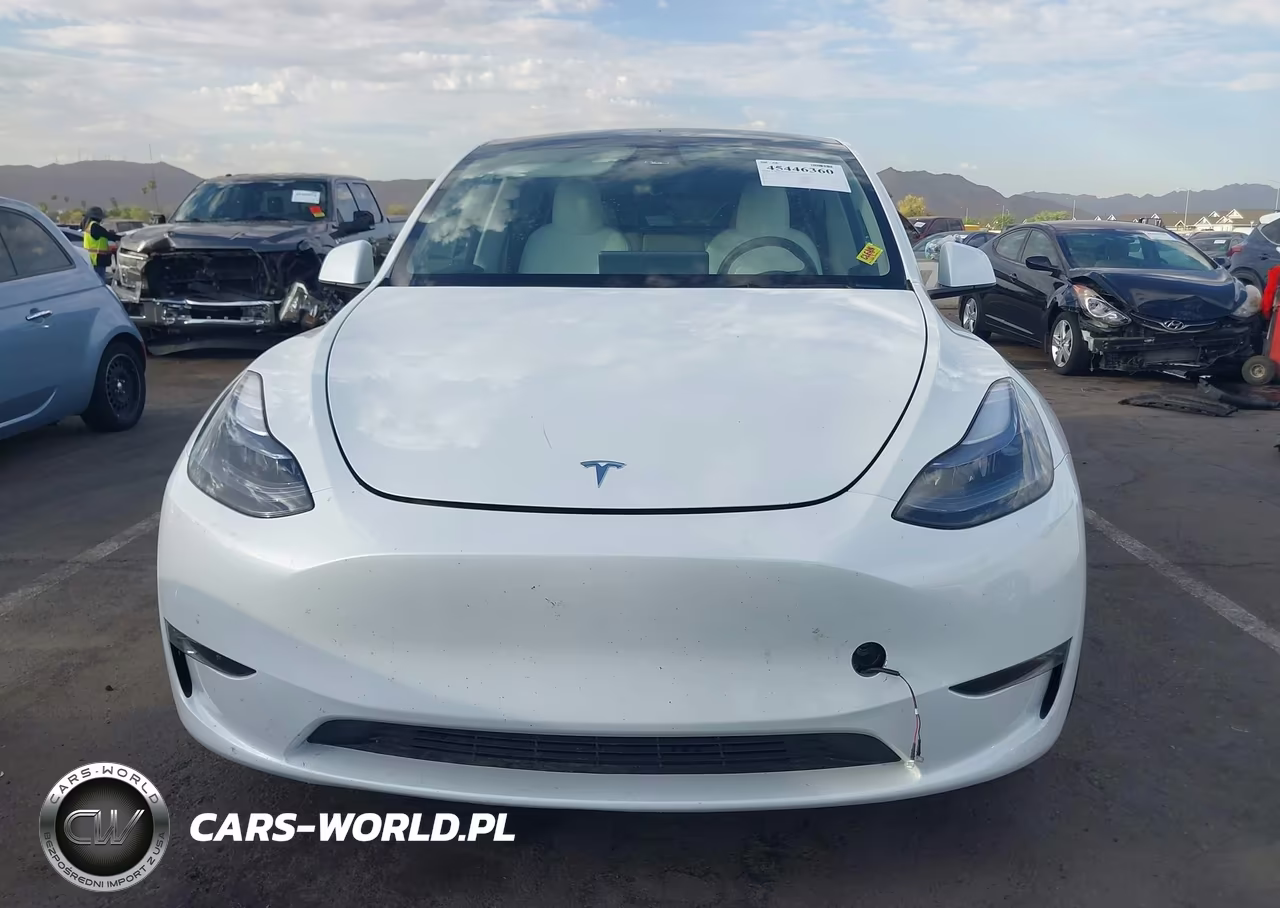 2024 Tesla Model Y Long Range Dual Motor All-Wheel Drive VIN:7SAYGAEE1RF030828 - 13