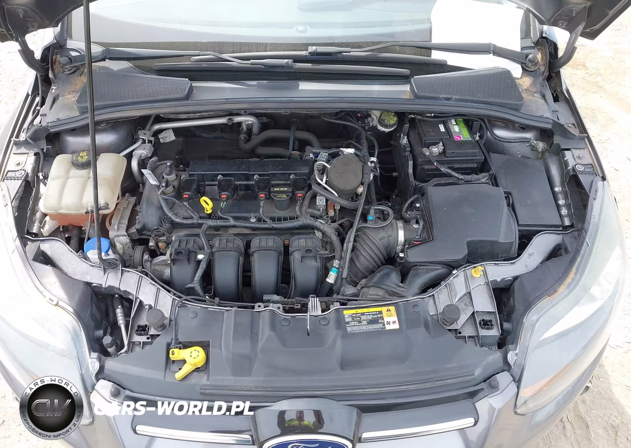2014 Ford Focus Titanium VIN:1FADP3J28EL117593 - 10