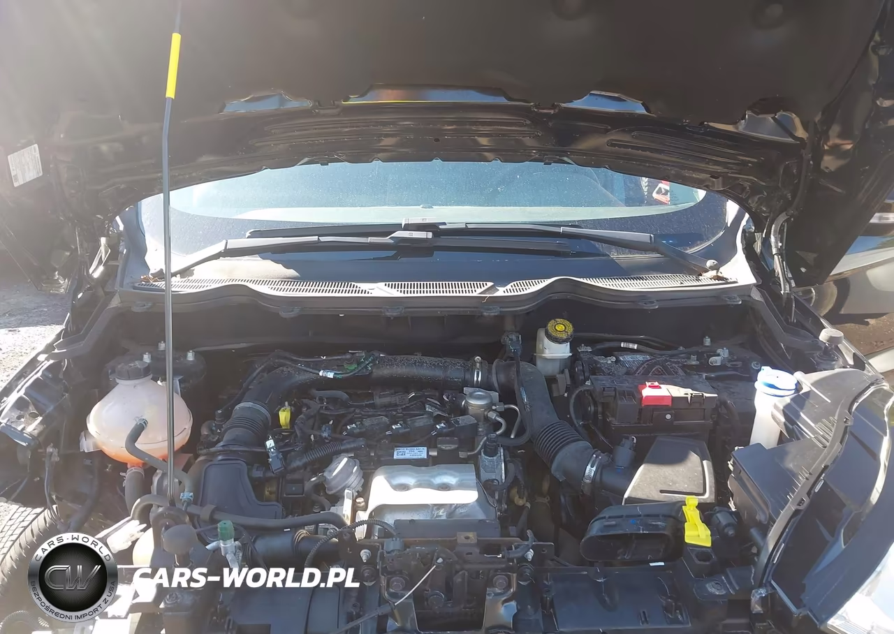 2021 Ford Ecosport Se VIN:MAJ3S2GE5MC425485 - 10