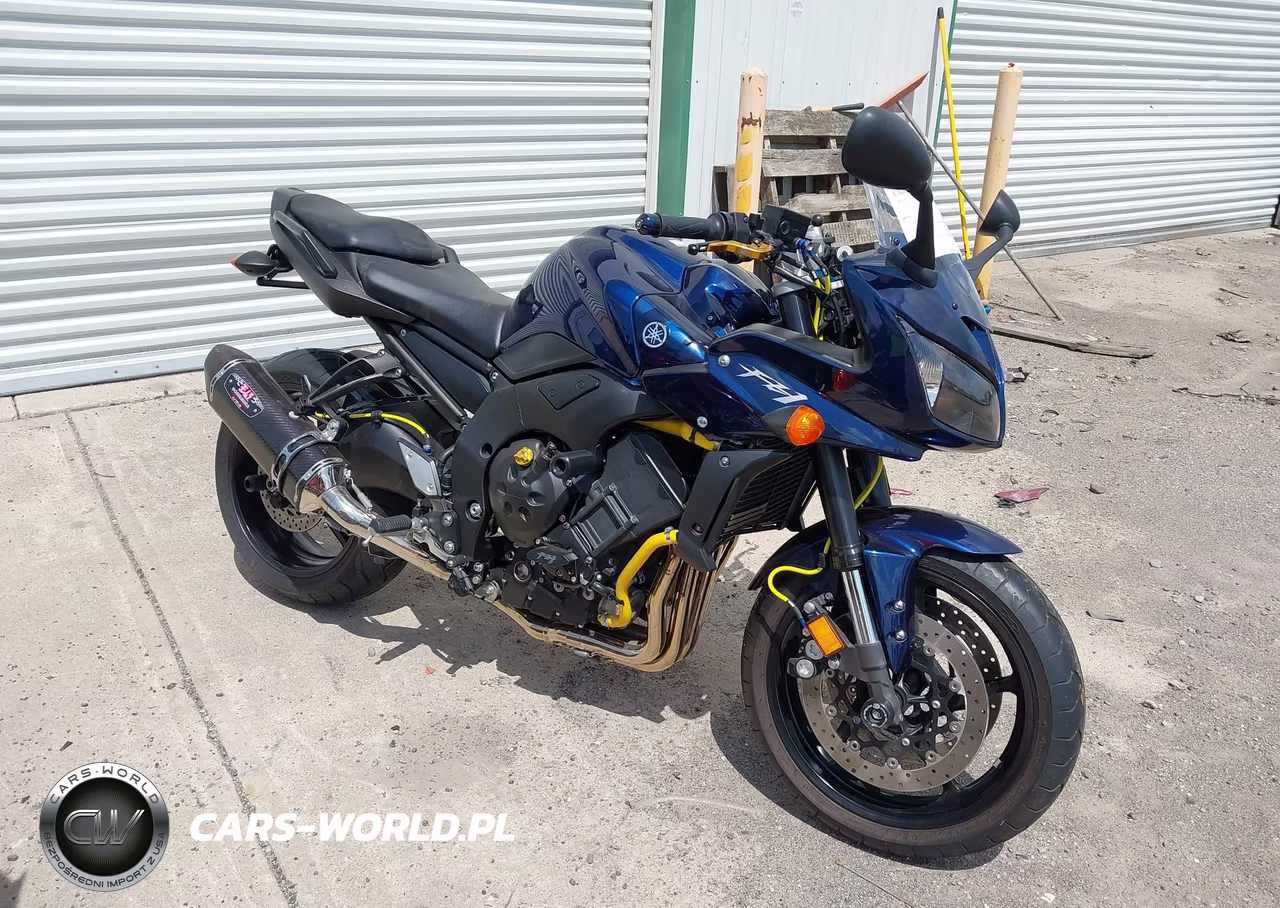 2013 Yamaha Fz1 S