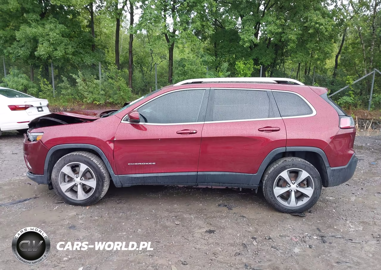 2019 Jeep Cherokee Limited 4X4 VIN:1C4PJMDX2KD126706 - 14