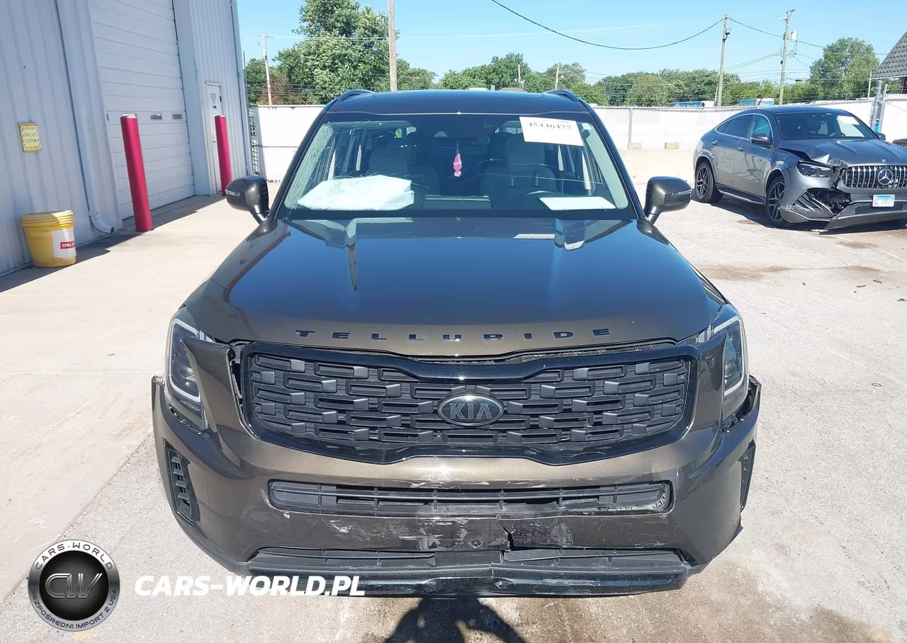 2021 Kia Telluride Ex VIN:5XYP3DHC4MG175797 - 12