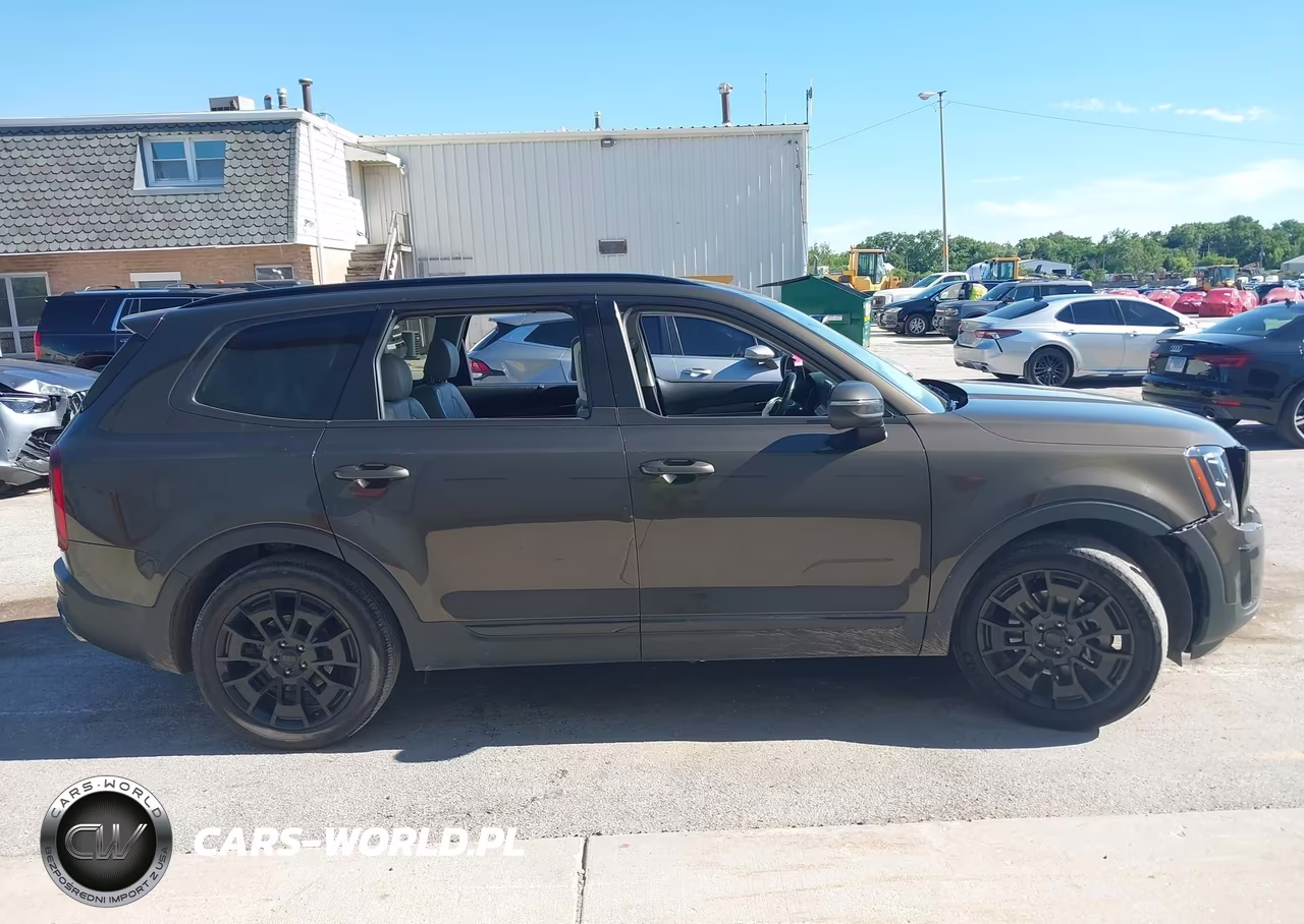 2021 Kia Telluride Ex VIN:5XYP3DHC4MG175797 - 13