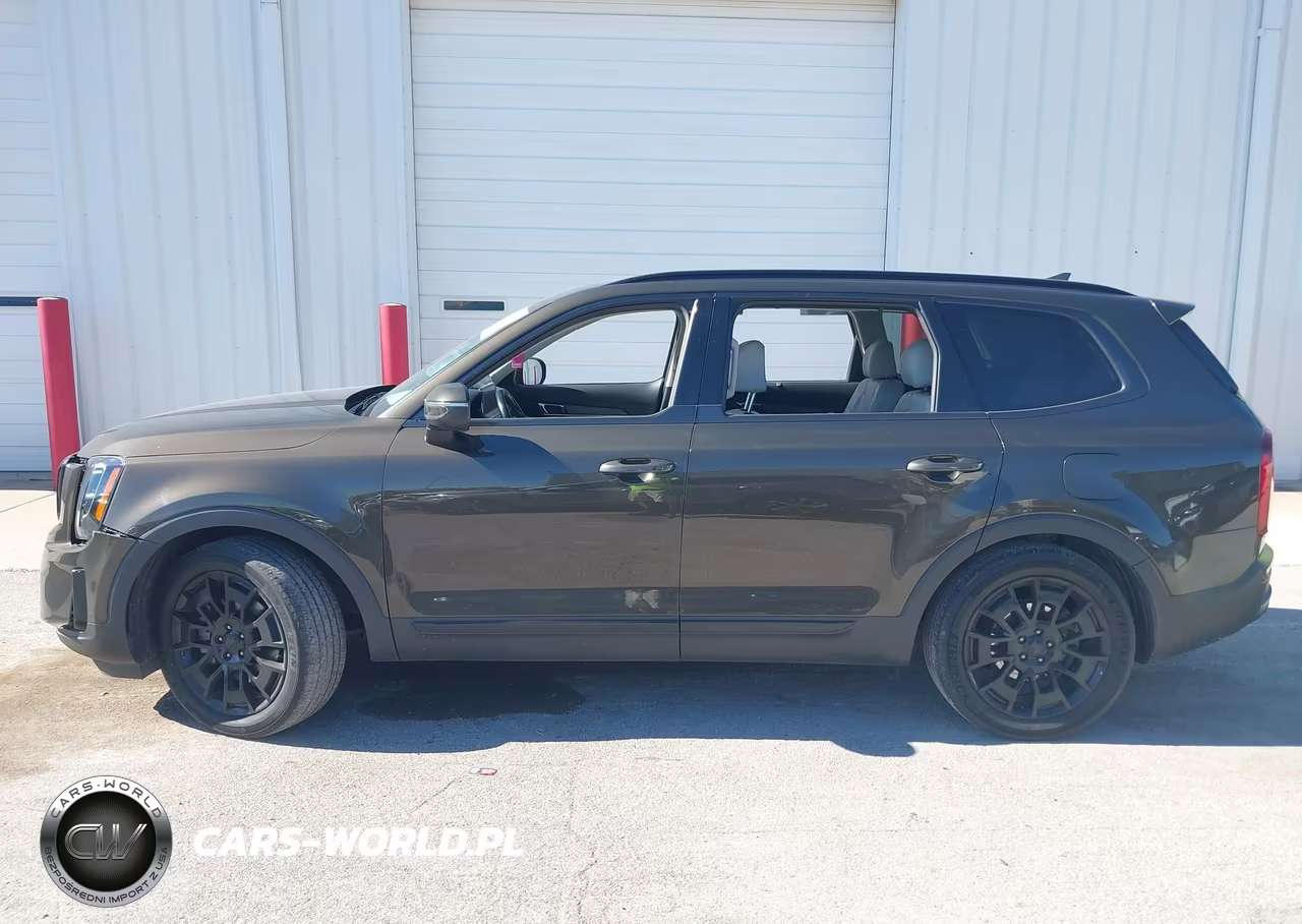 2021 Kia Telluride Ex VIN:5XYP3DHC4MG175797 - 14