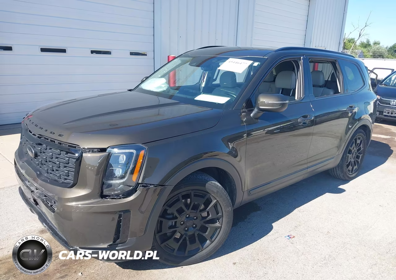 2021 Kia Telluride Ex VIN:5XYP3DHC4MG175797 - 2