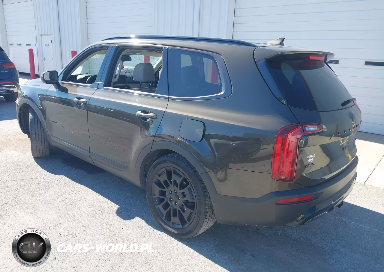 2021 Kia Telluride Ex VIN:5XYP3DHC4MG175797 - 3