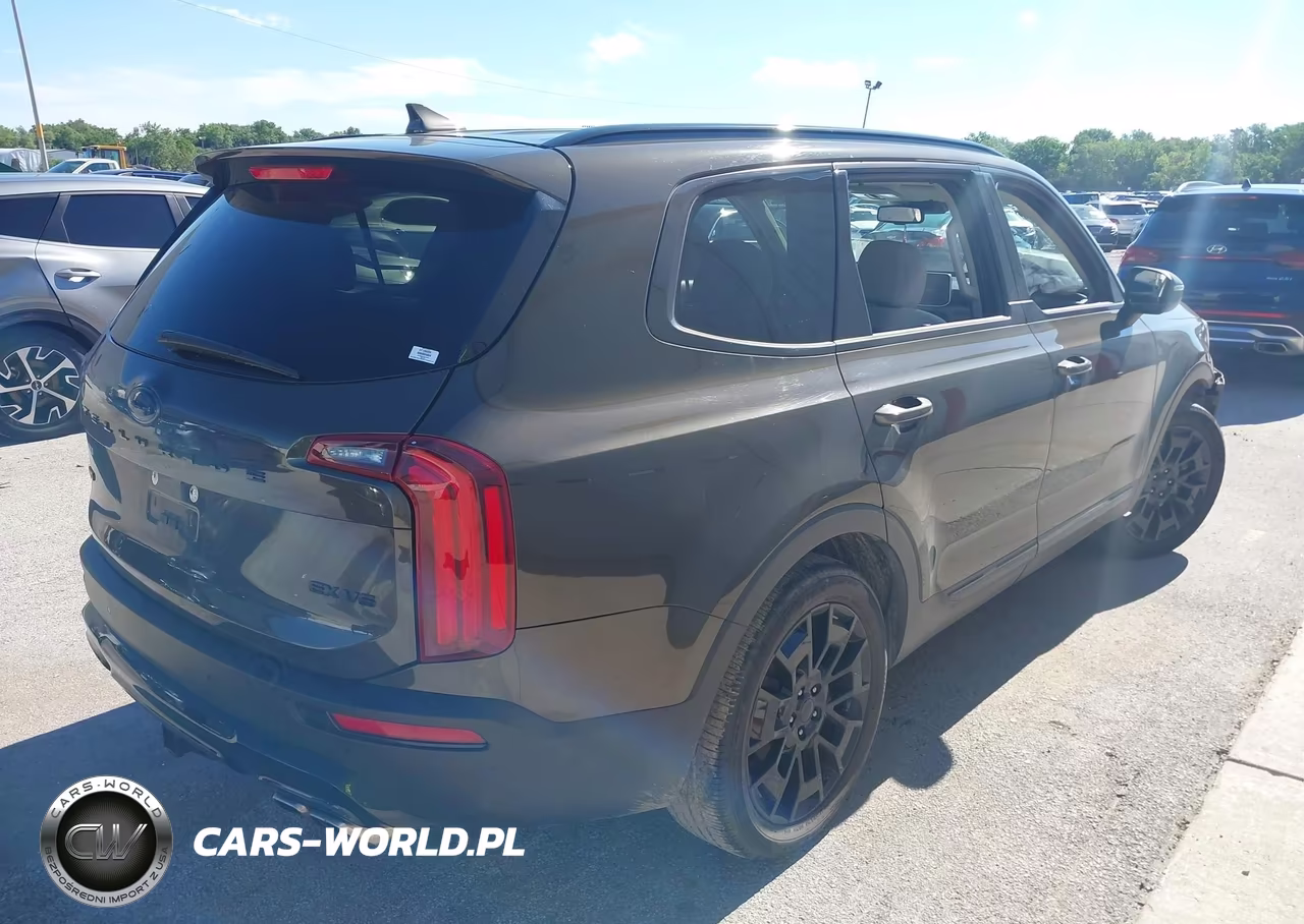 2021 Kia Telluride Ex VIN:5XYP3DHC4MG175797 - 4