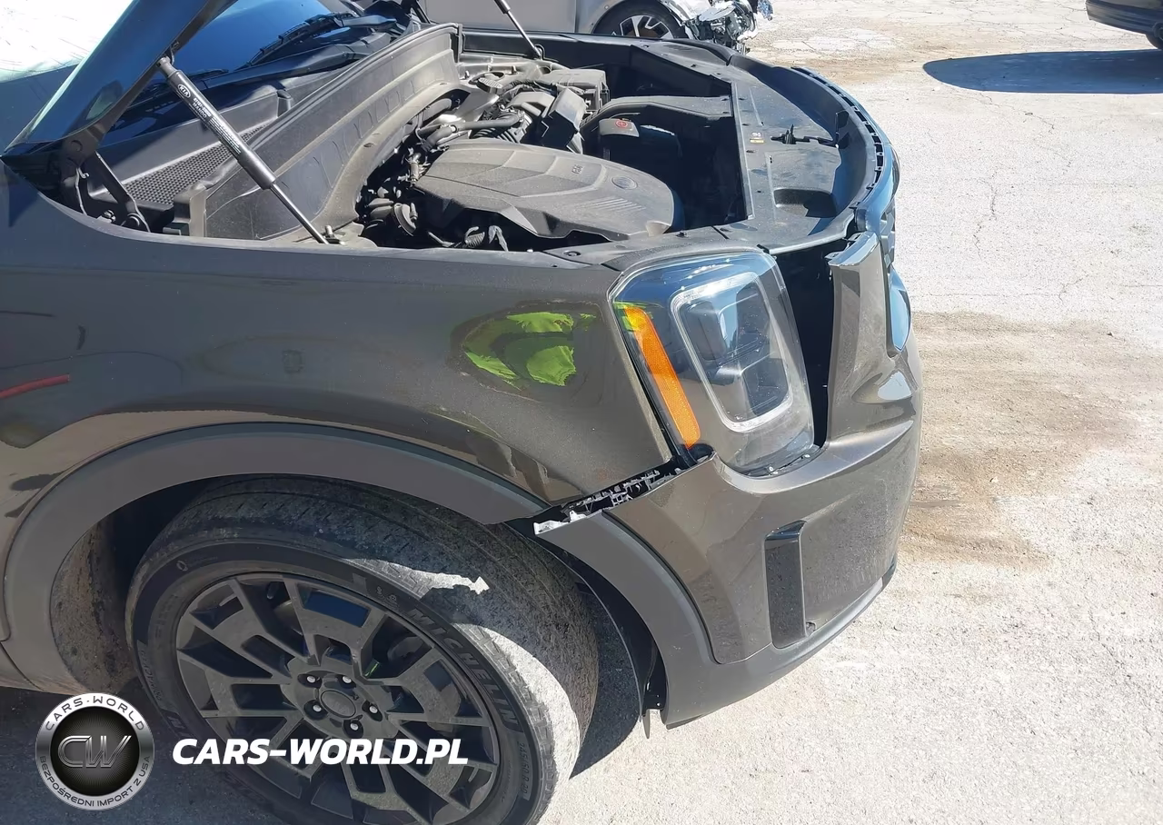 2021 Kia Telluride Ex VIN:5XYP3DHC4MG175797 - 6