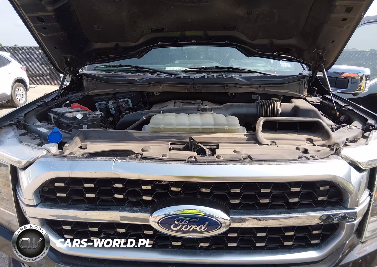 2021 Ford F-150 Platinum VIN:1FTFW1E89MFA99367 - 10
