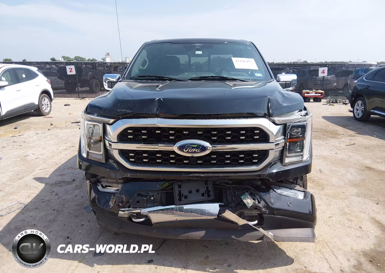 2021 Ford F-150 Platinum VIN:1FTFW1E89MFA99367 - 12