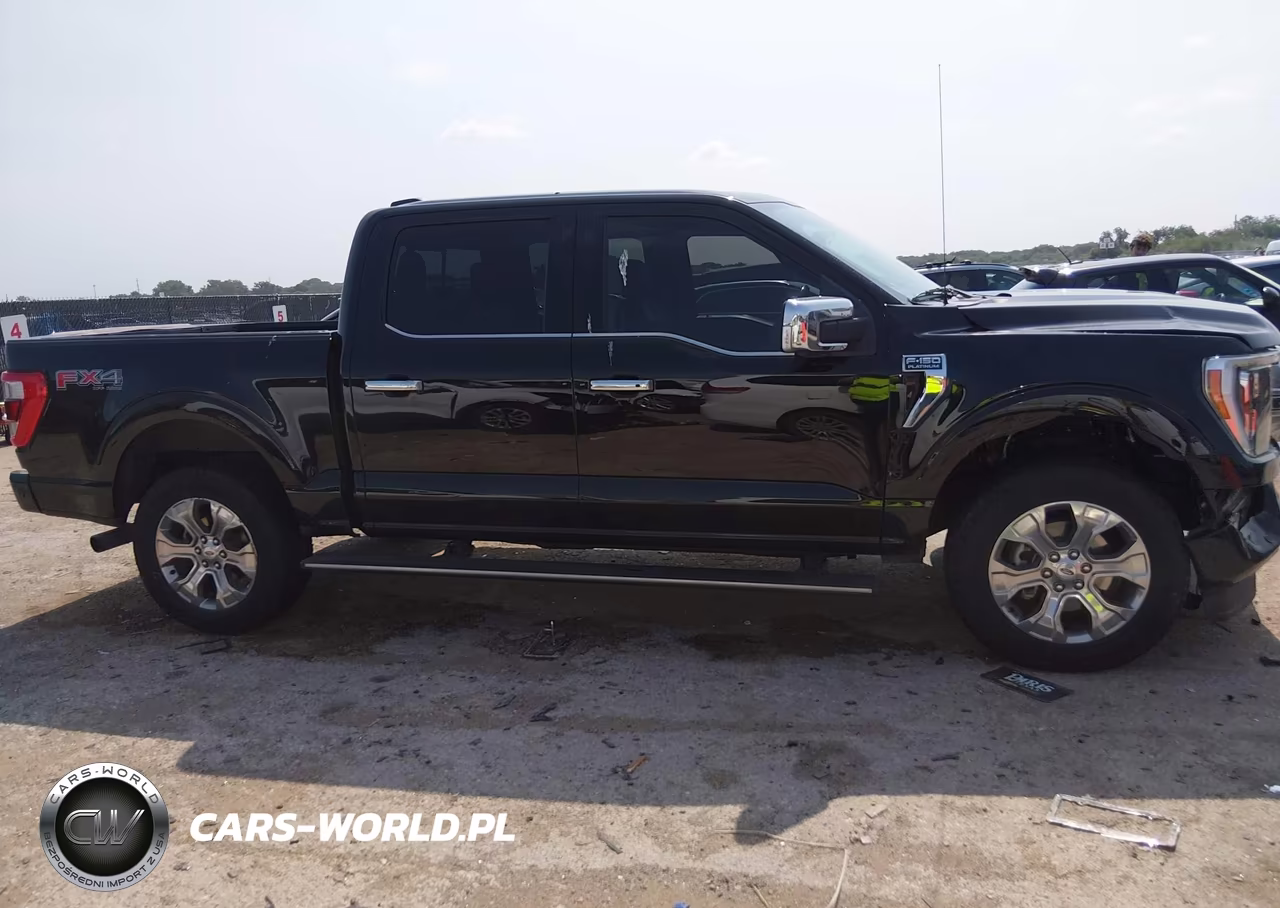 2021 Ford F-150 Platinum VIN:1FTFW1E89MFA99367 - 13