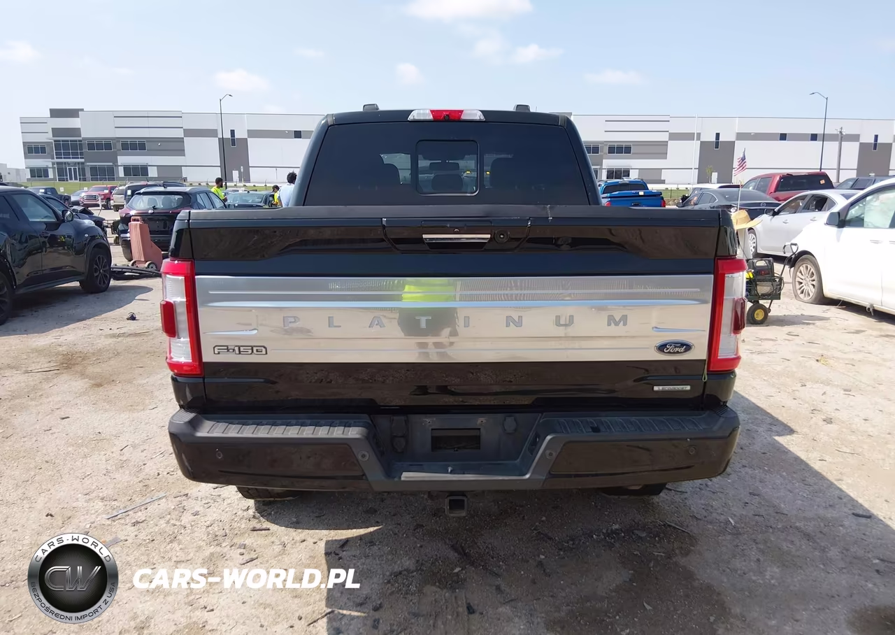 2021 Ford F-150 Platinum VIN:1FTFW1E89MFA99367 - 16